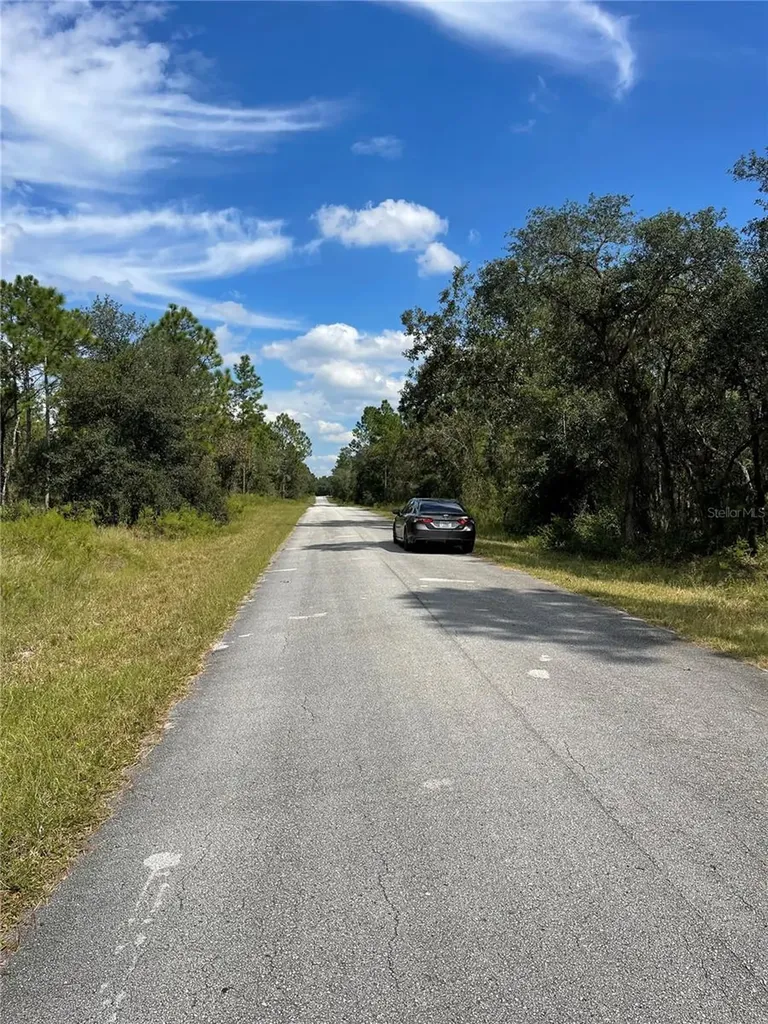 00 SW Blue Berry Lane Dunnellon FL 34431