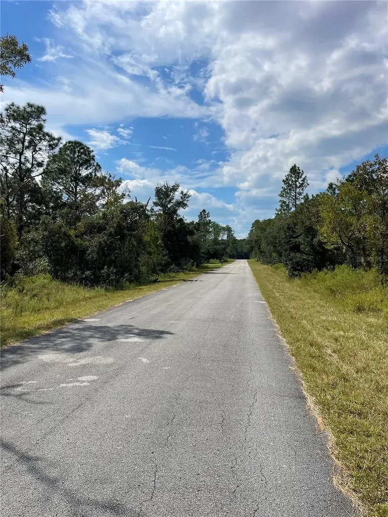 00 SW Blue Berry Lane Dunnellon FL 34431