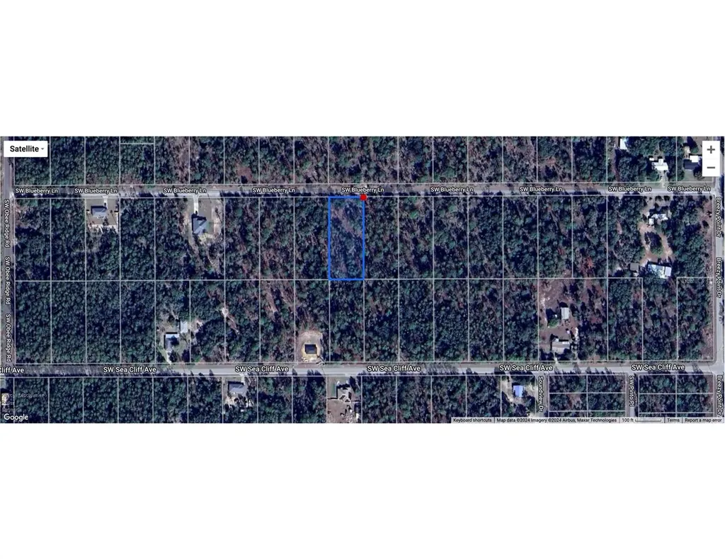 00 SW Blue Berry Lane Dunnellon FL 34431