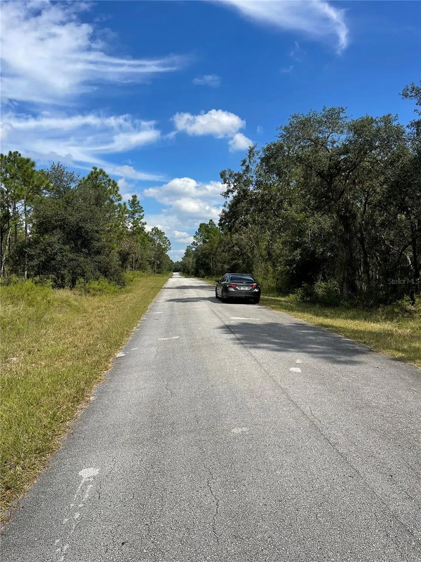 00 SW Blue Berry Lane Dunnellon FL 34431