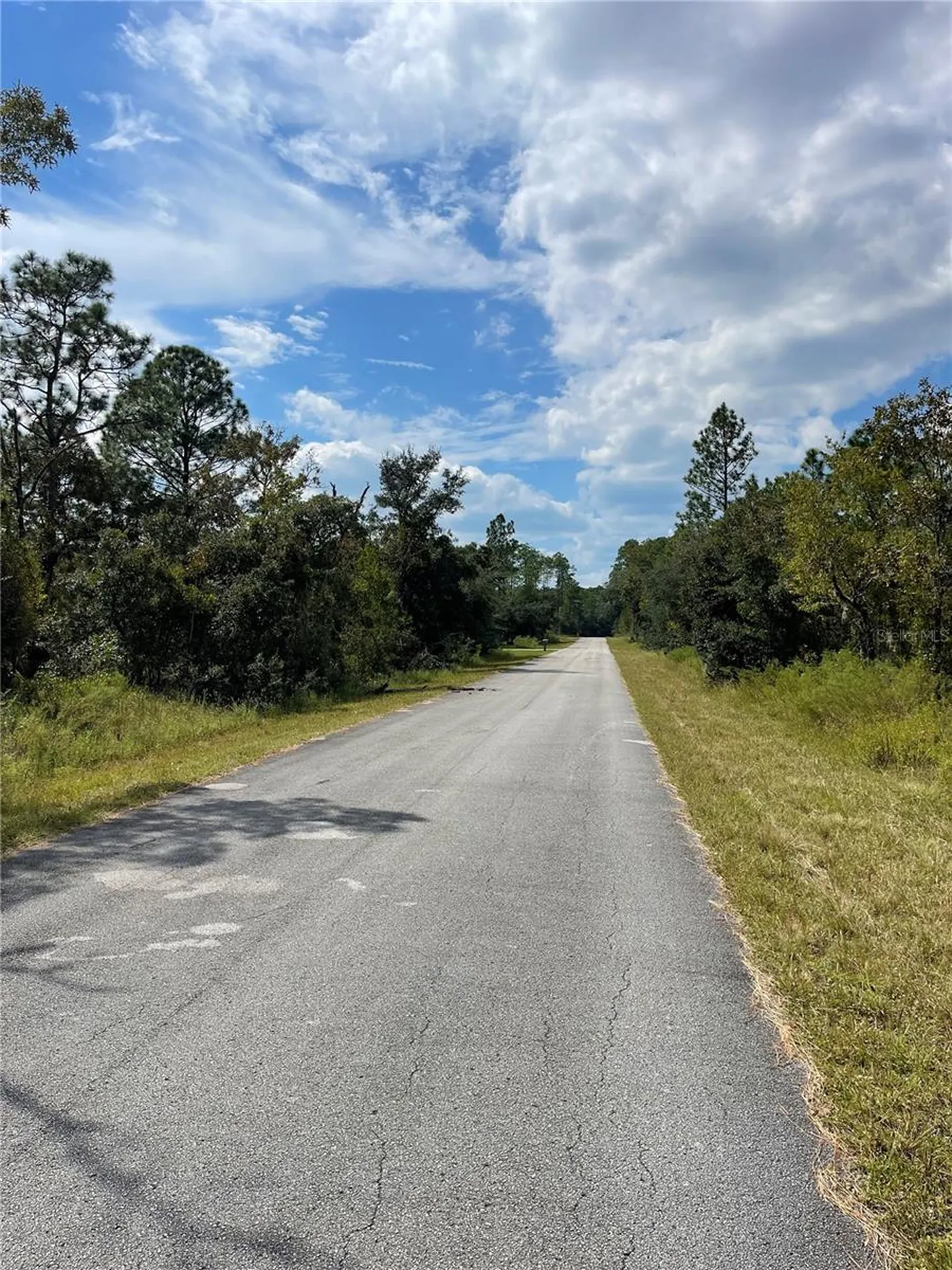 00 SW Blue Berry Lane Dunnellon FL 34431