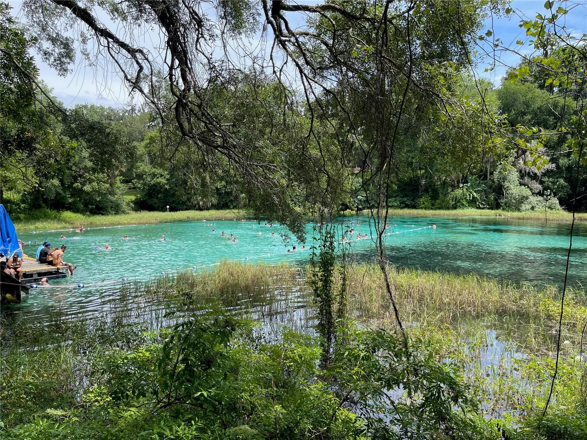 00 SW Blue Berry Lane Dunnellon FL 34431