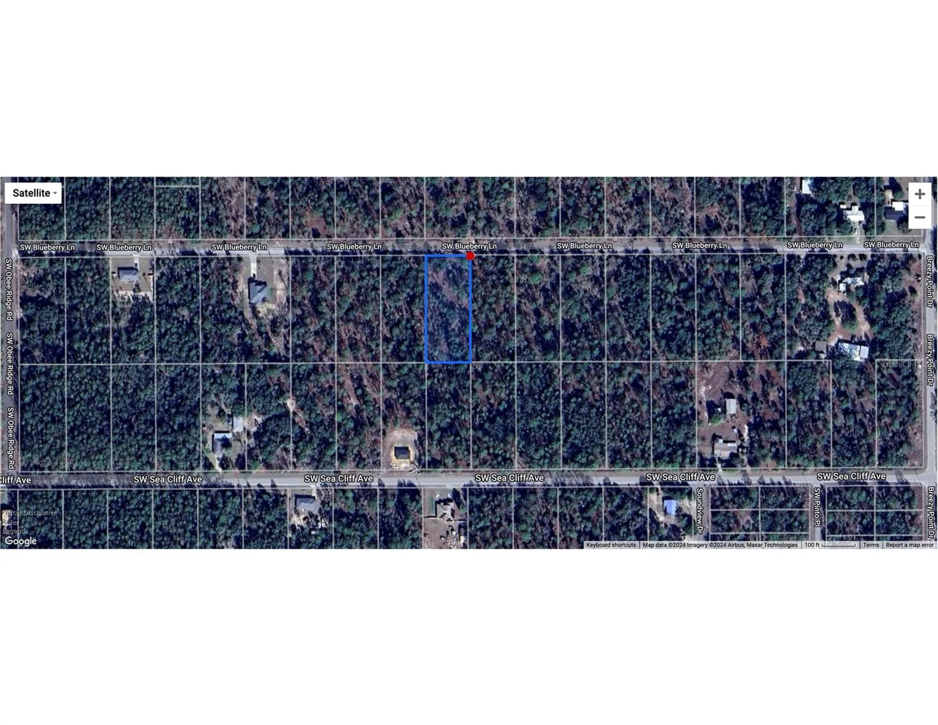 00 SW Blue Berry Lane Dunnellon FL 34431