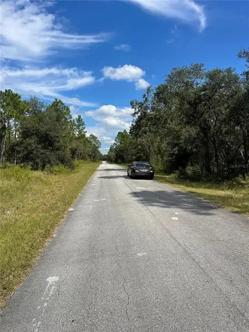 00 SW Blue Berry Lane Dunnellon FL 34431