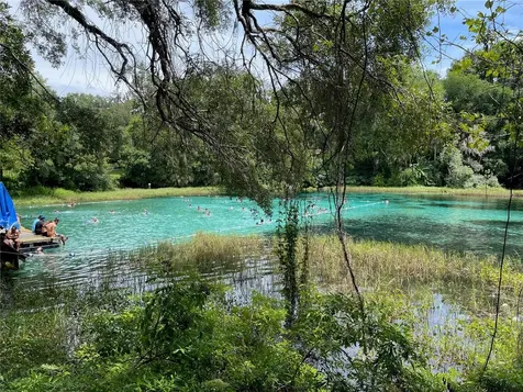 00 SW Blue Berry Lane Dunnellon FL 34431