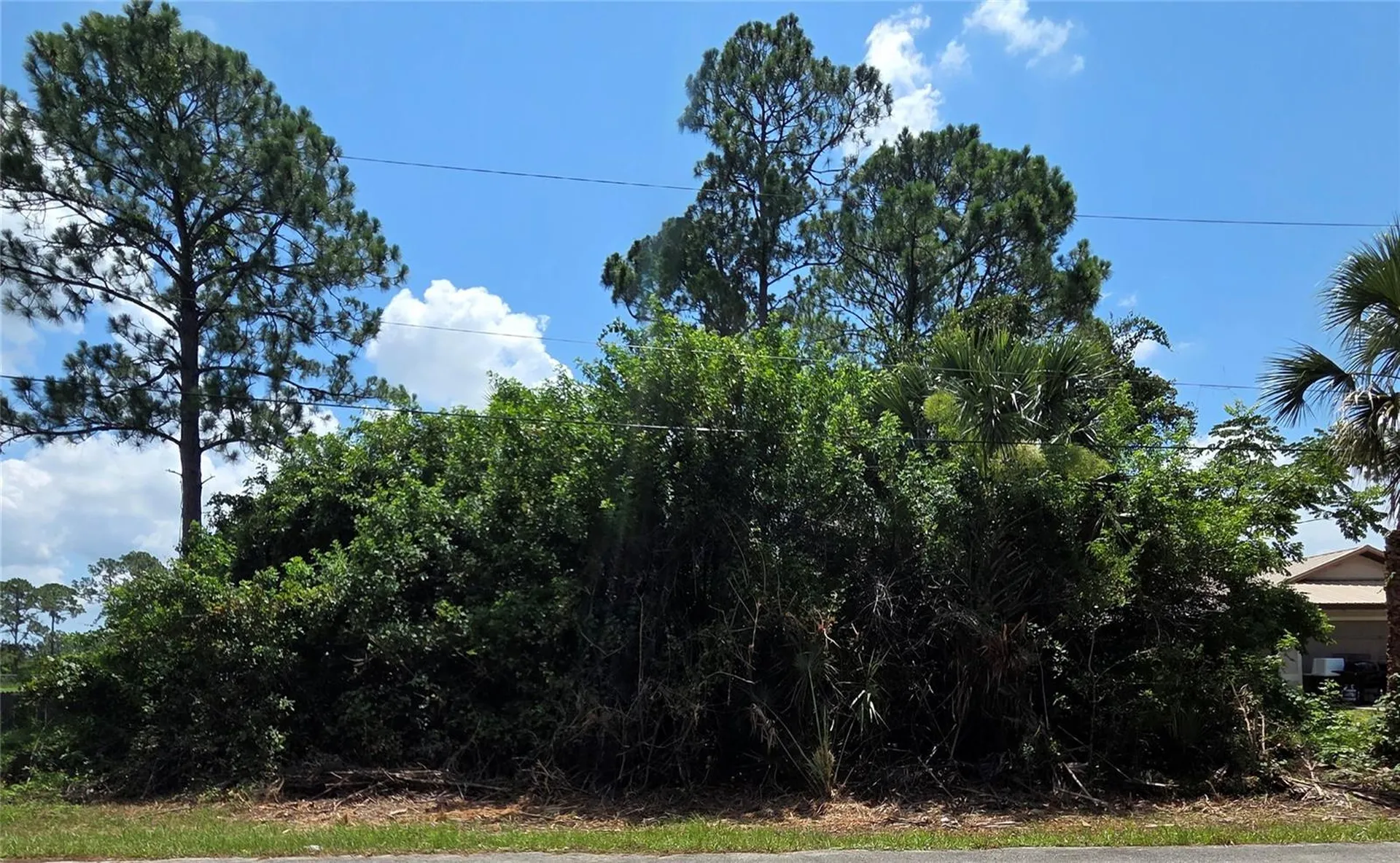Tbd Tejon Avenue Palm Bay FL 32908