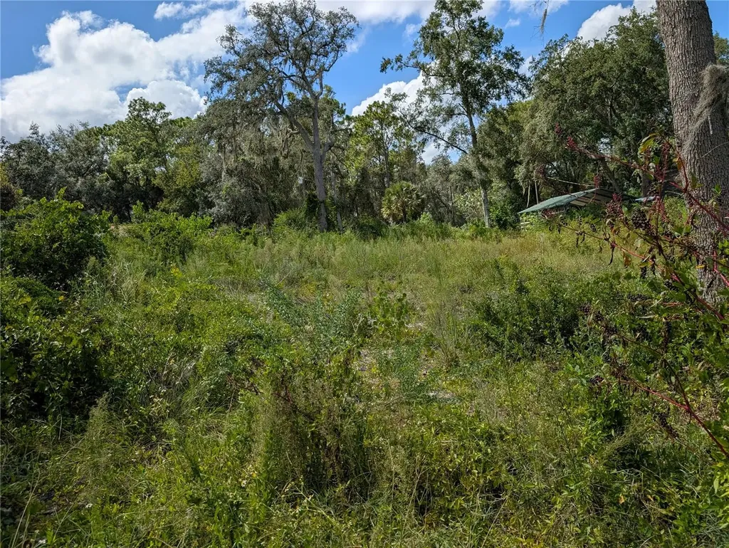 5387 SE 168th Avenue Ocklawaha FL 32179
