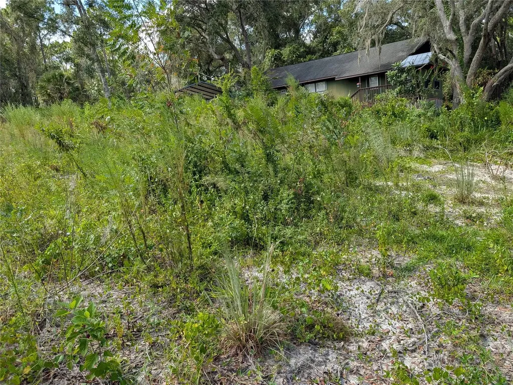 5387 SE 168th Avenue Ocklawaha FL 32179