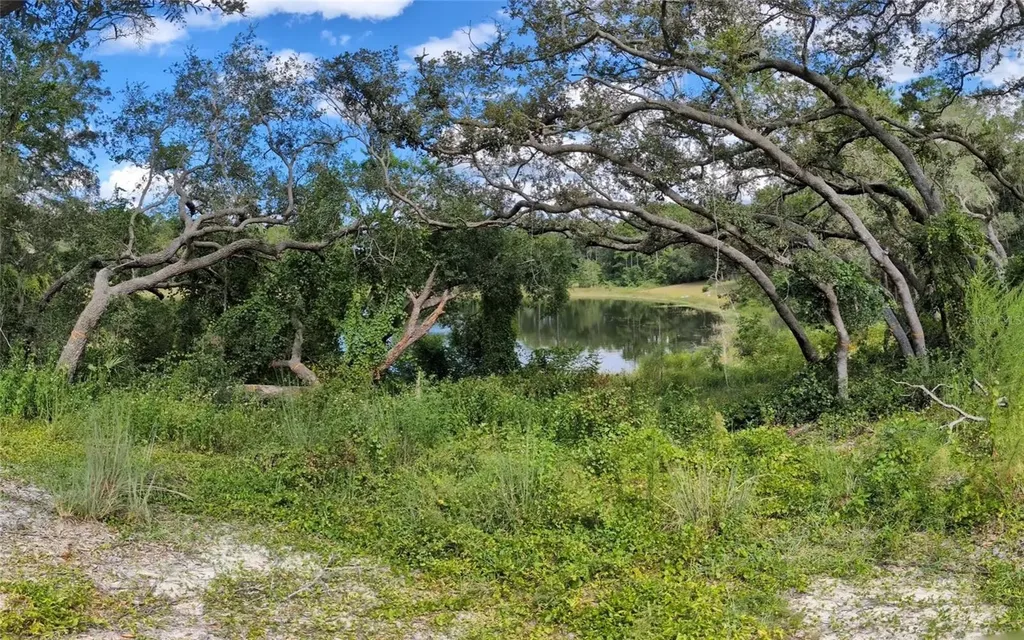 5387 SE 168th Avenue Ocklawaha FL 32179