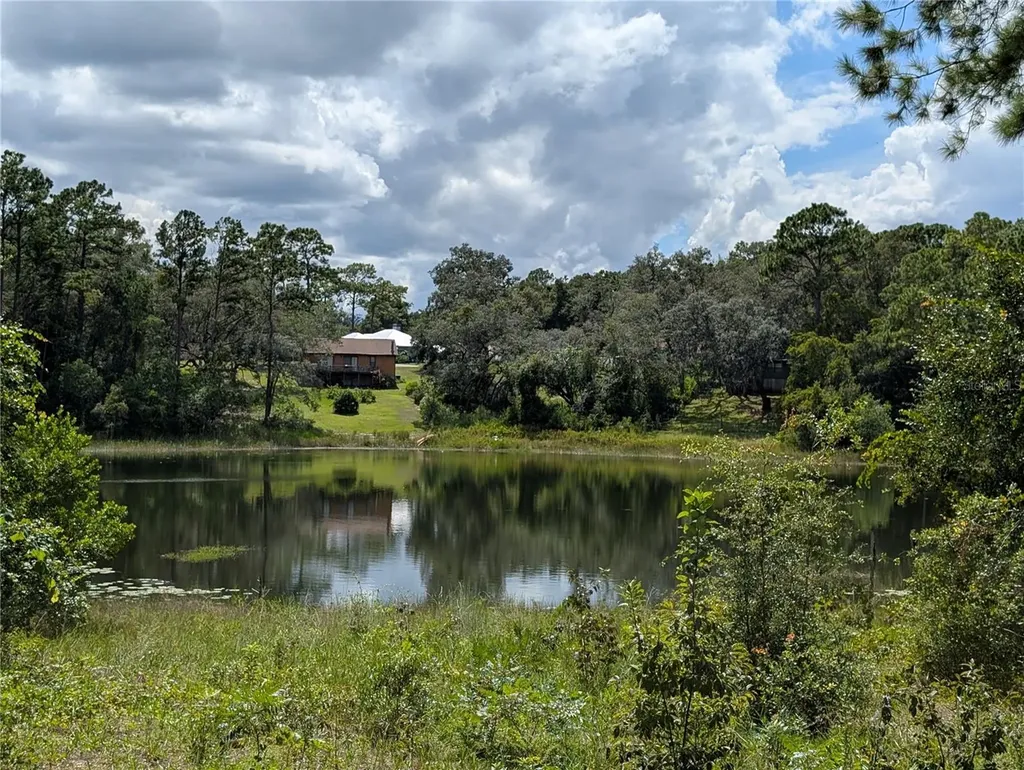 5387 SE 168th Avenue Ocklawaha FL 32179