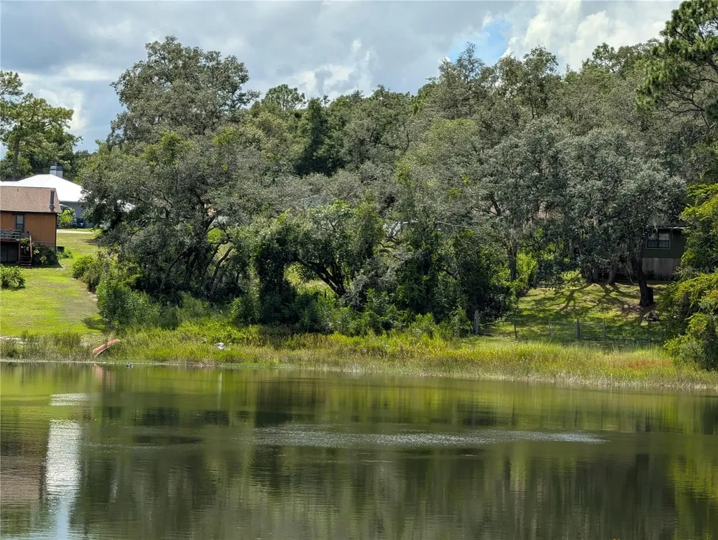 5387 SE 168th Avenue Ocklawaha FL 32179