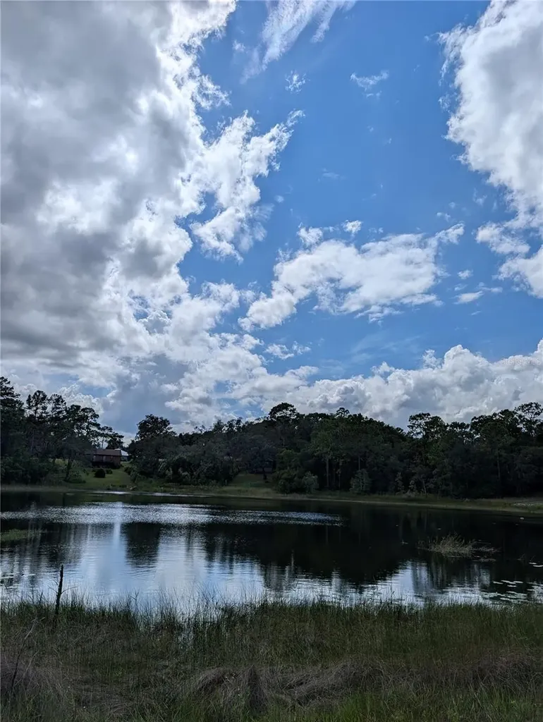5387 SE 168th Avenue Ocklawaha FL 32179