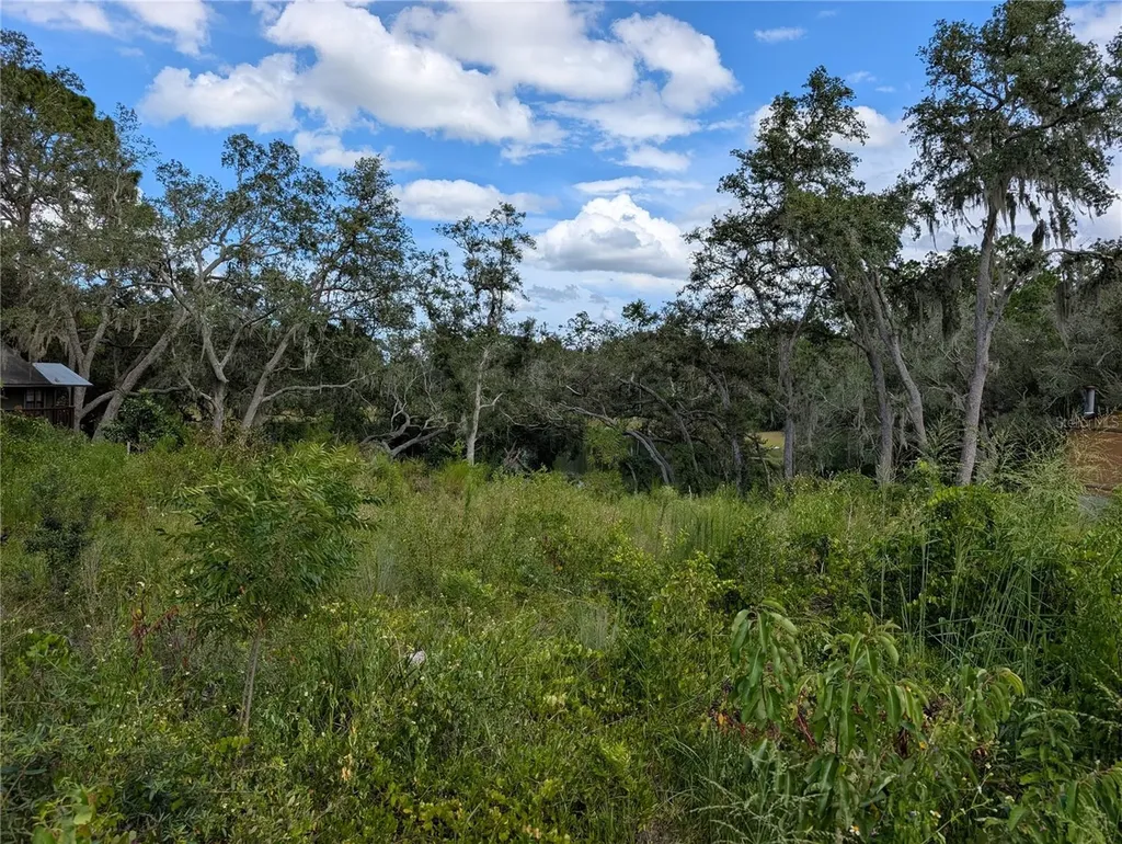 5387 SE 168th Avenue Ocklawaha FL 32179