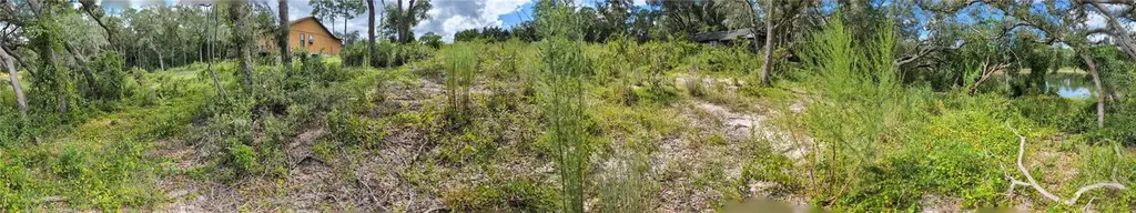 5387 SE 168th Avenue Ocklawaha FL 32179