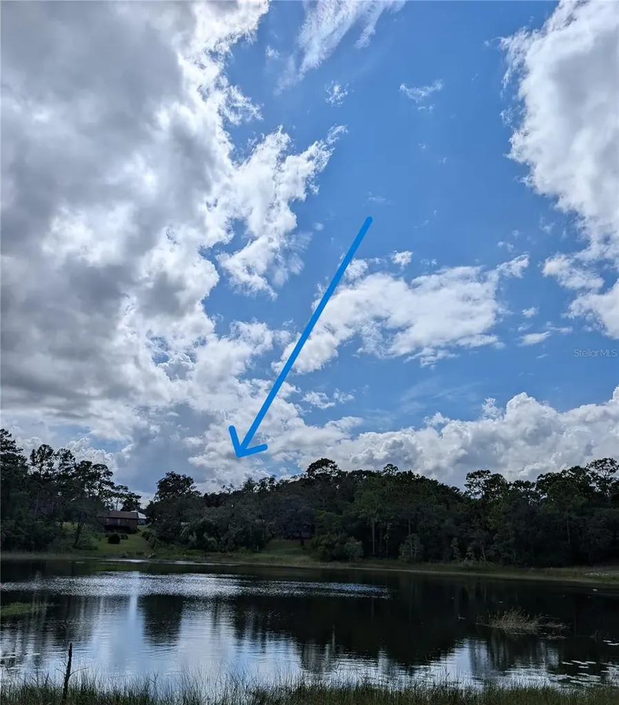 5387 SE 168th Avenue Ocklawaha FL 32179