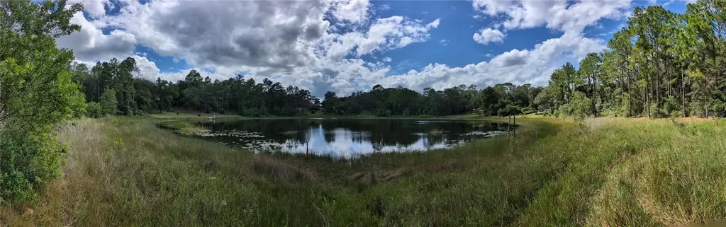 5387 SE 168th Avenue Ocklawaha FL 32179