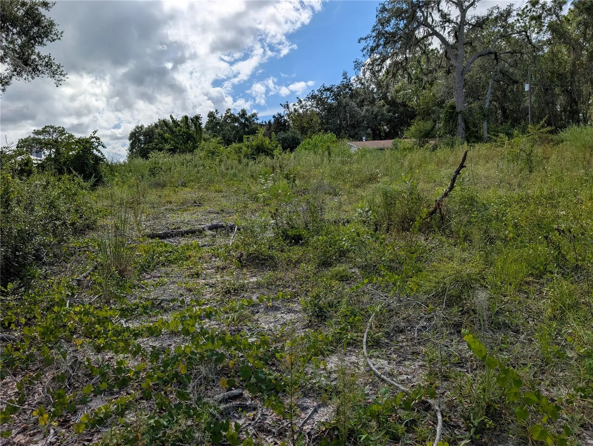 5387 SE 168th Avenue Ocklawaha FL 32179