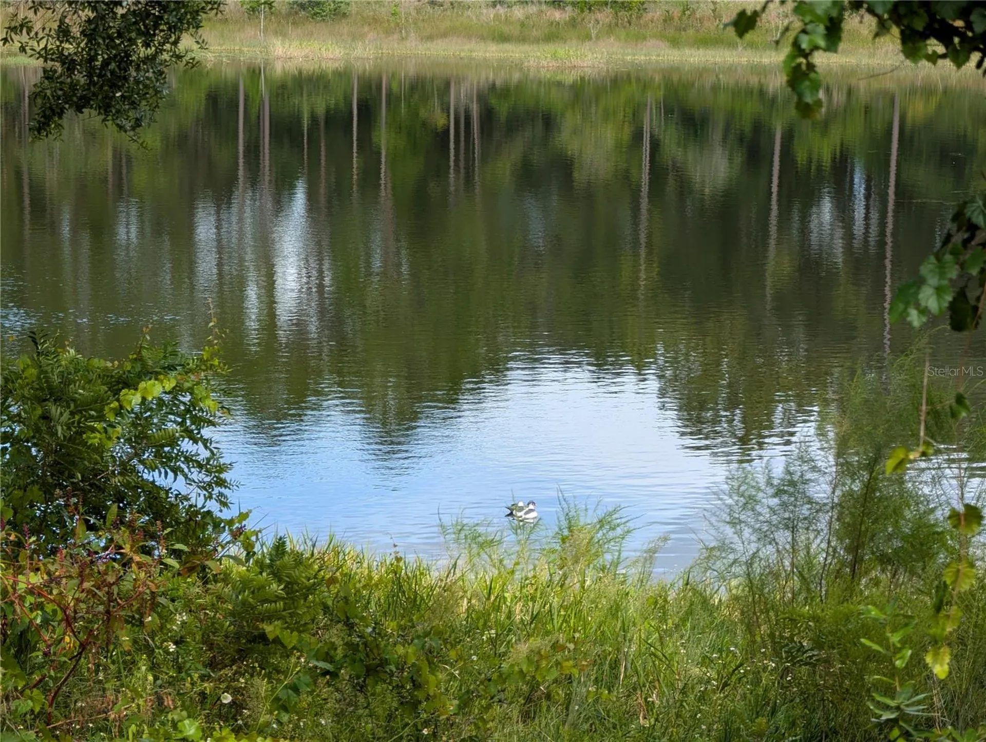 5387 SE 168th Avenue Ocklawaha FL 32179