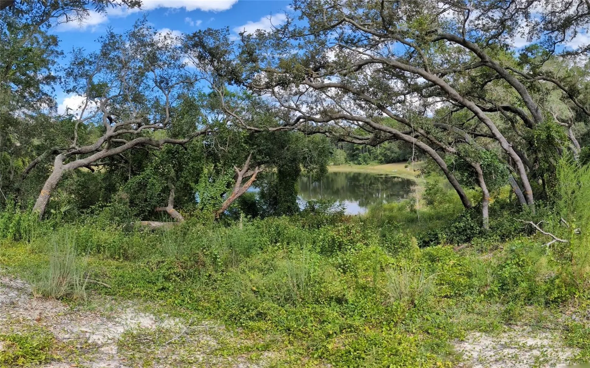 5387 SE 168th Avenue Ocklawaha FL 32179