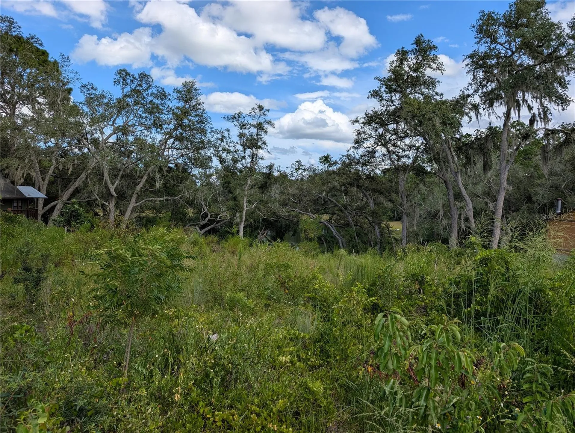 5387 SE 168th Avenue Ocklawaha FL 32179