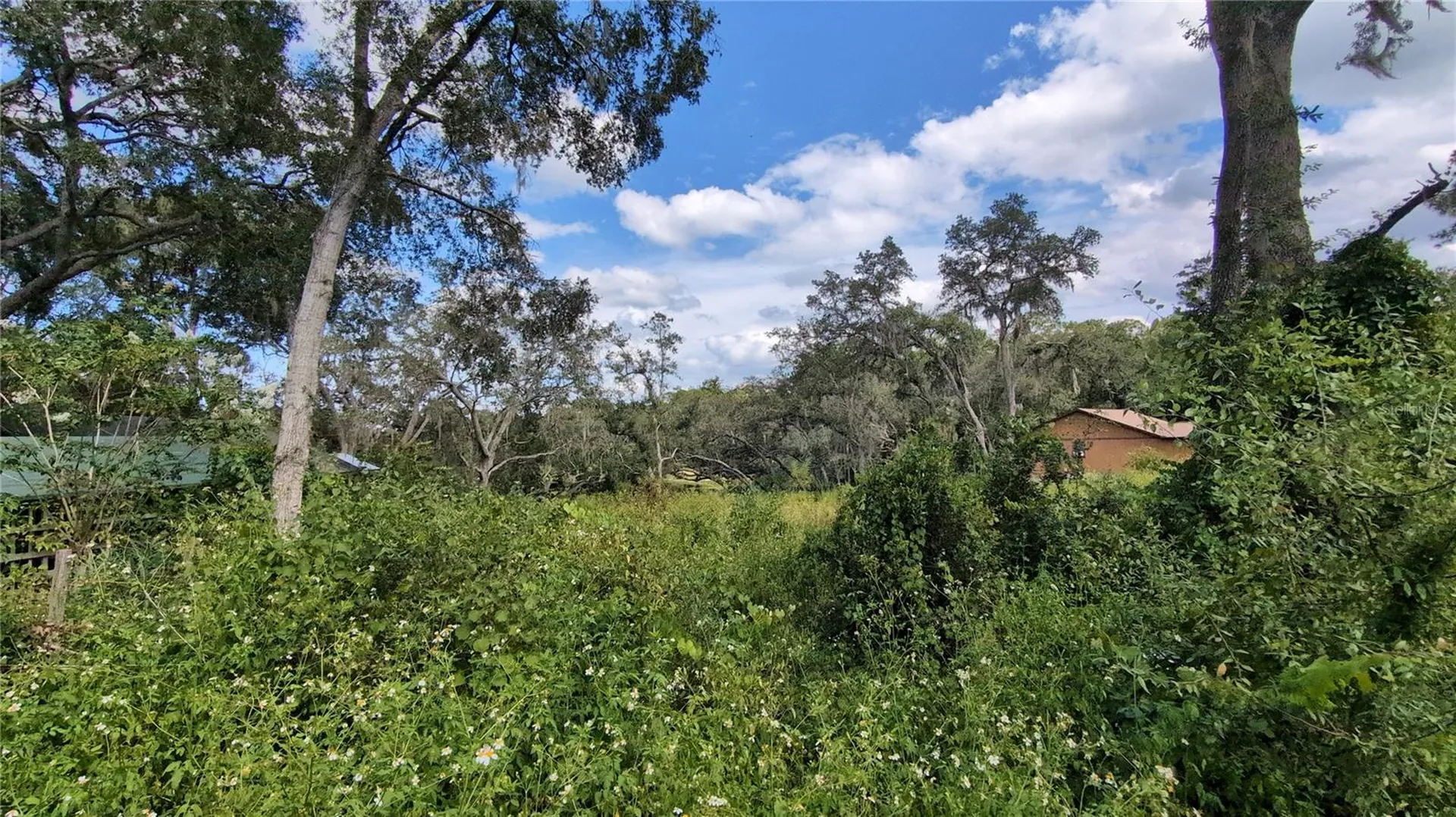 5387 SE 168th Avenue Ocklawaha FL 32179