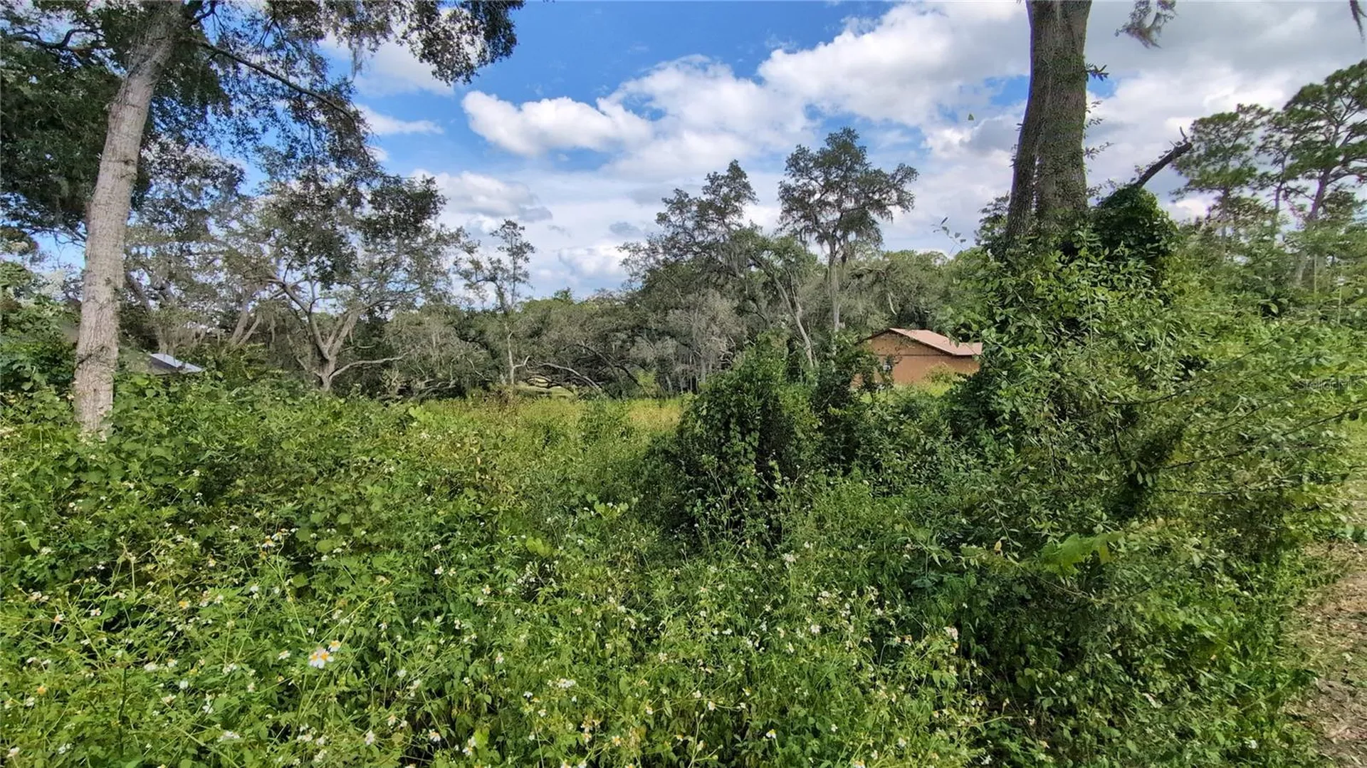 5387 SE 168th Avenue Ocklawaha FL 32179