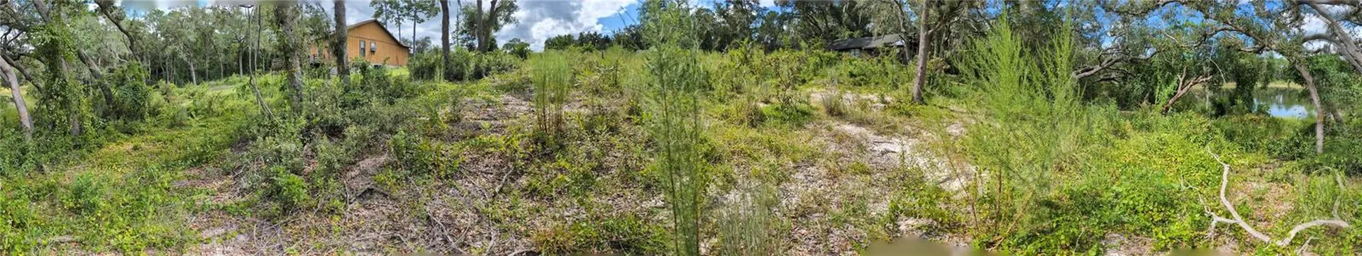 5387 SE 168th Avenue Ocklawaha FL 32179