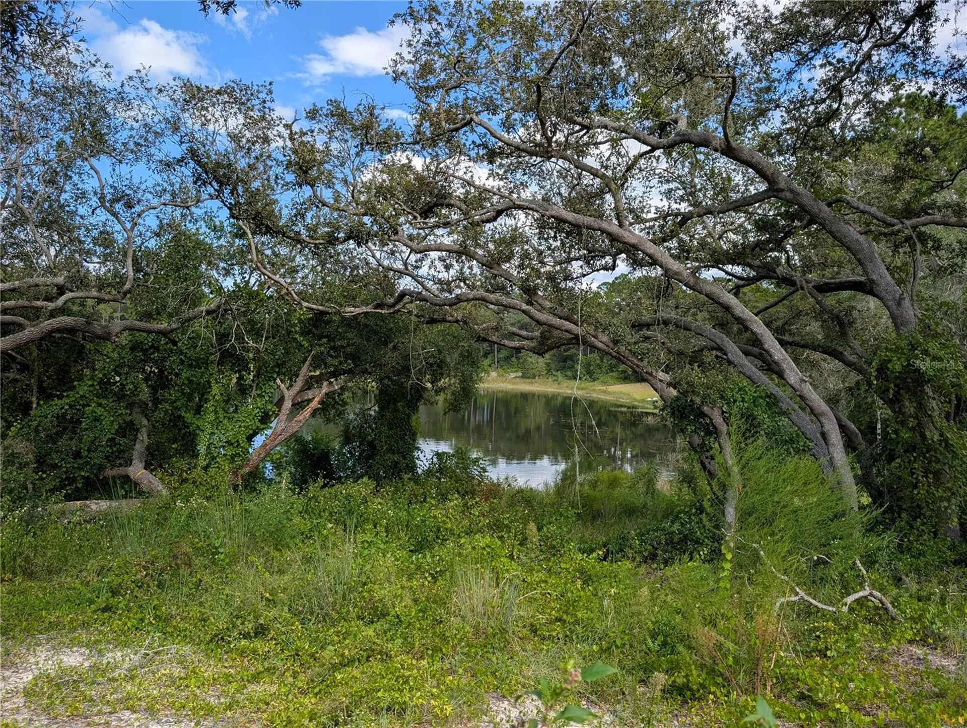 5387 SE 168th Avenue Ocklawaha FL 32179