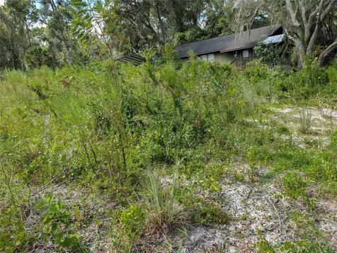 5387 SE 168th Avenue Ocklawaha FL 32179