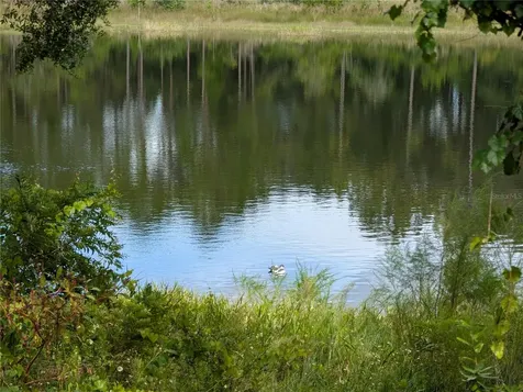 5387 SE 168th Avenue Ocklawaha FL 32179