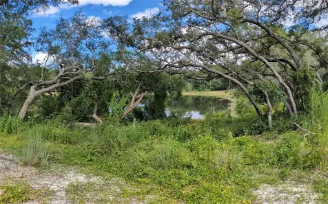 5387 SE 168th Avenue Ocklawaha FL 32179