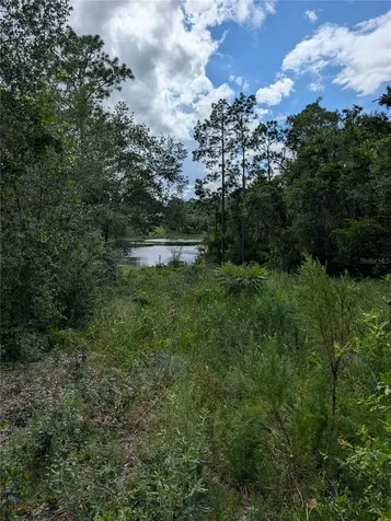 5387 SE 168th Avenue Ocklawaha FL 32179