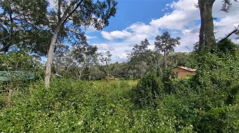 5387 SE 168th Avenue Ocklawaha FL 32179
