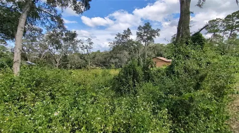 5387 SE 168th Avenue Ocklawaha FL 32179