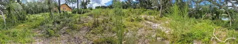 5387 SE 168th Avenue Ocklawaha FL 32179