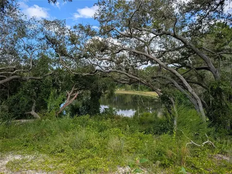 5387 SE 168th Avenue Ocklawaha FL 32179