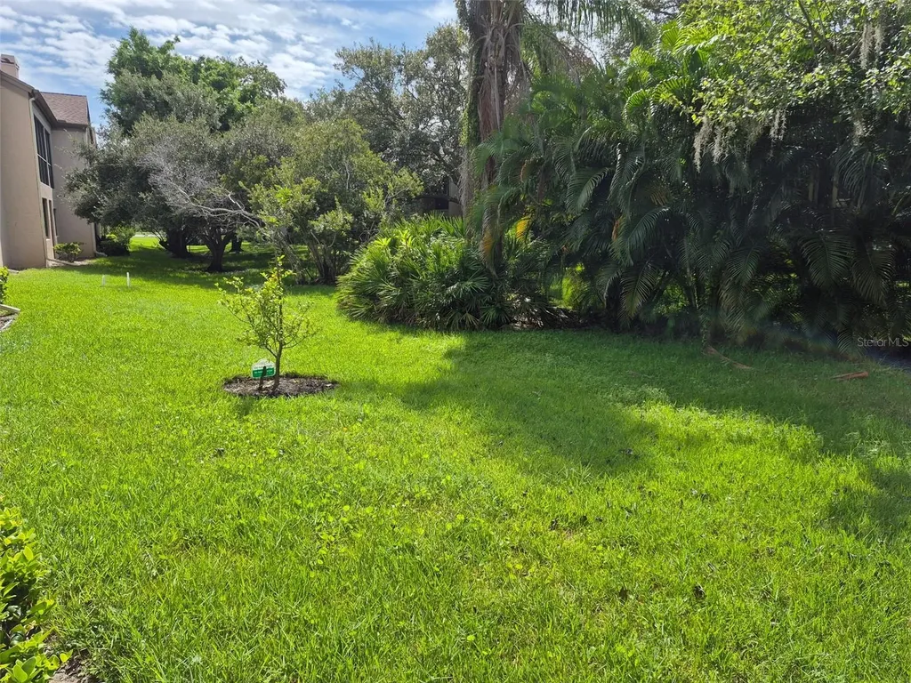 3028 Red Oak Court Palm Harbor FL 34684