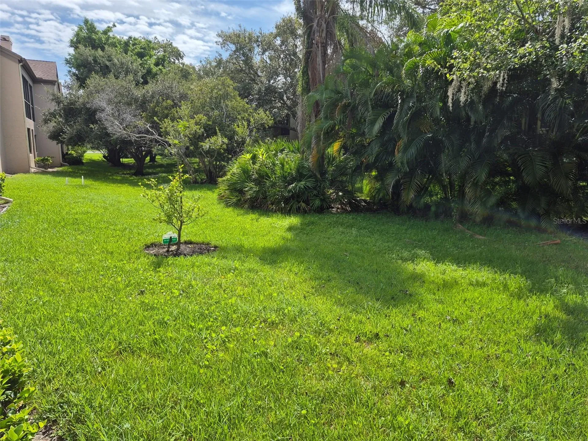 3028 Red Oak Court Palm Harbor FL 34684
