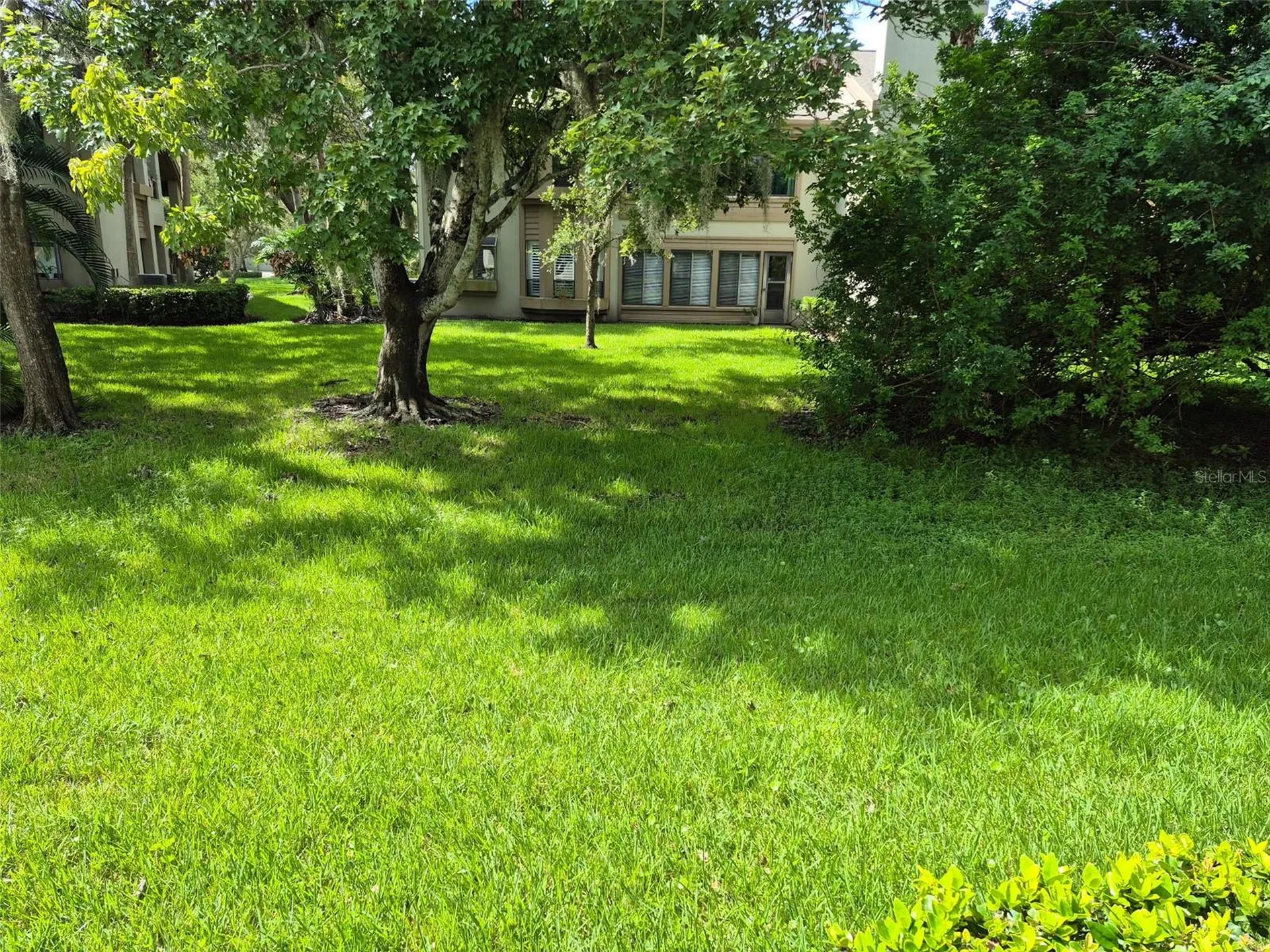 3028 Red Oak Court Palm Harbor FL 34684