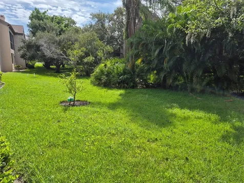 3028 Red Oak Court Palm Harbor FL 34684