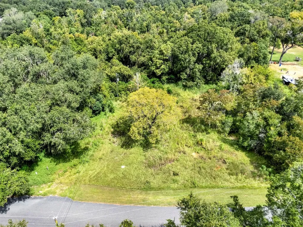 15325 Trousdale Street Clermont FL 34715