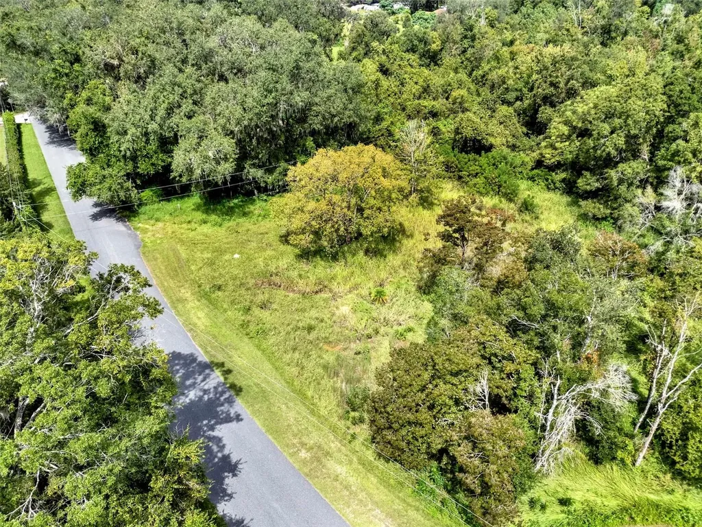 15325 Trousdale Street Clermont FL 34715