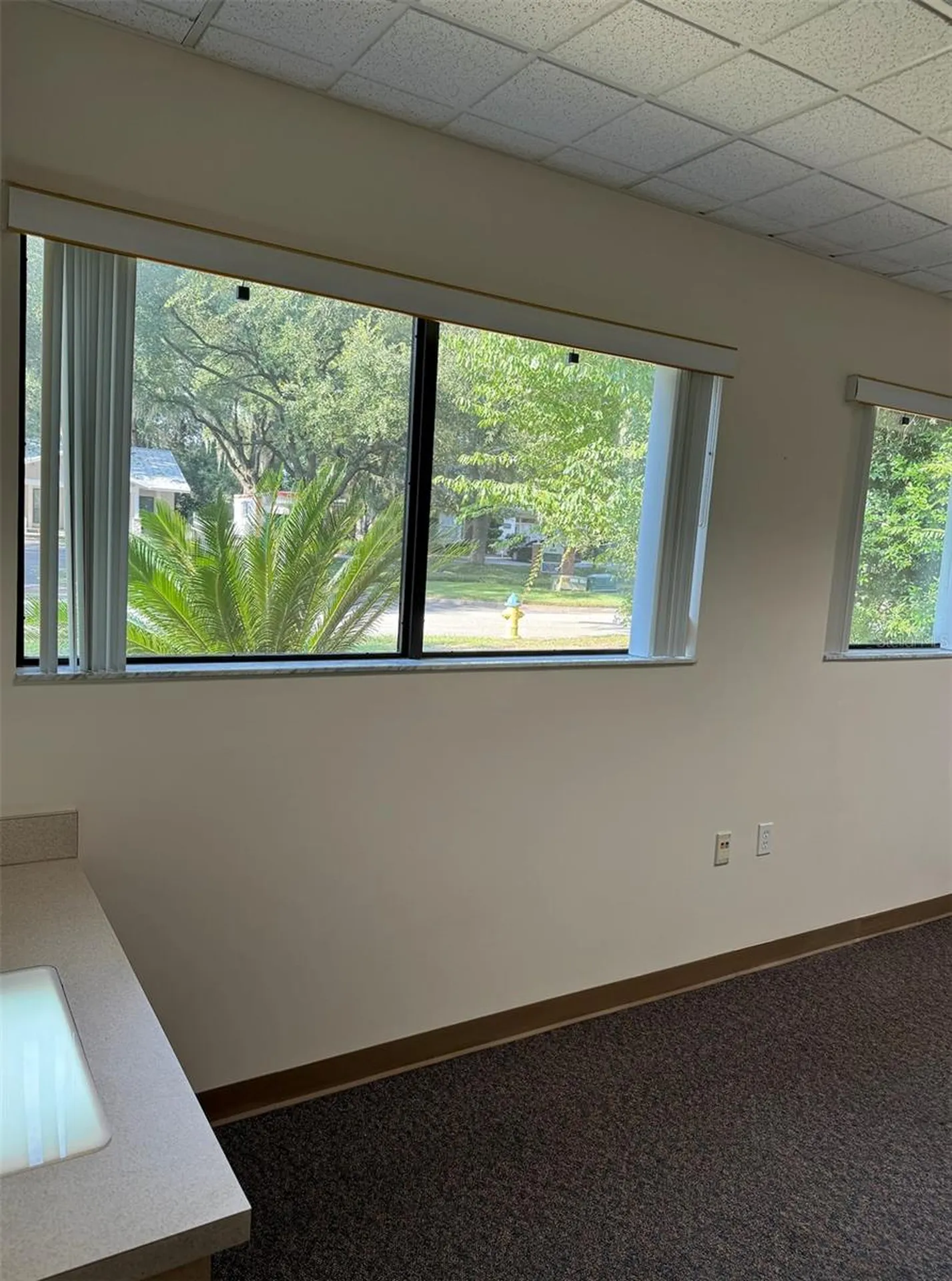 4031 NW 43rd Street Gainesville FL 32606