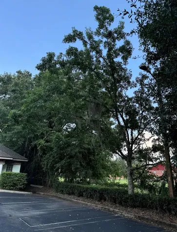 4031 NW 43rd Street Gainesville FL 32606