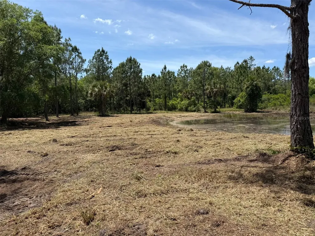 60 Natalies Lane Ormond Beach FL 32174