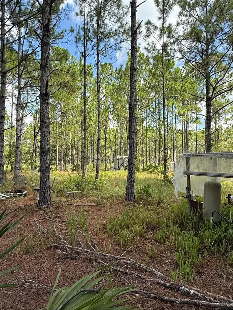 60 Natalies Lane Ormond Beach FL 32174