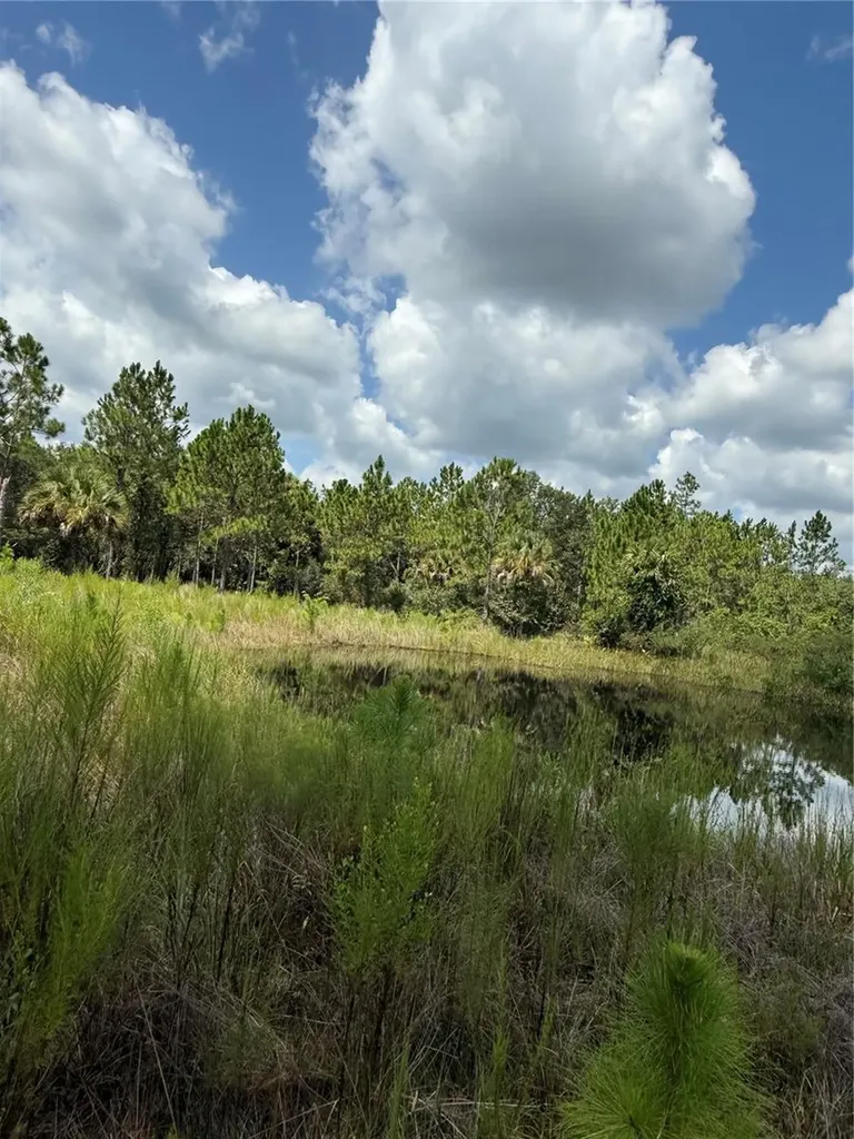 60 Natalies Lane Ormond Beach FL 32174
