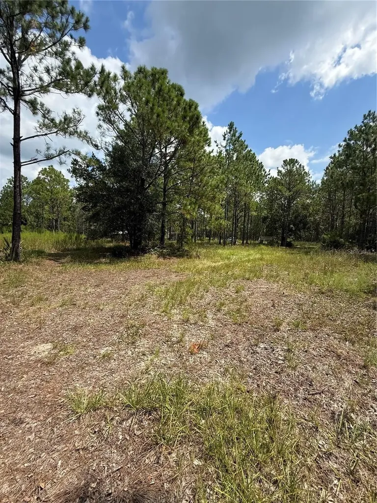 60 Natalies Lane Ormond Beach FL 32174