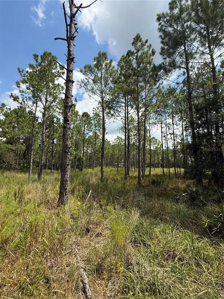 60 Natalies Lane Ormond Beach FL 32174