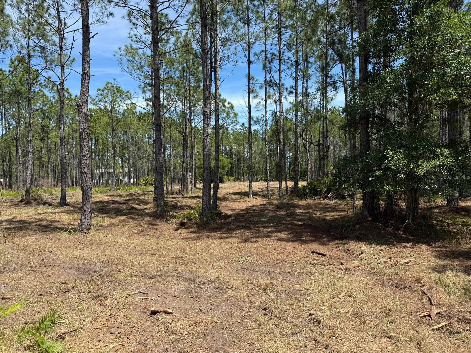60 Natalies Lane Ormond Beach FL 32174